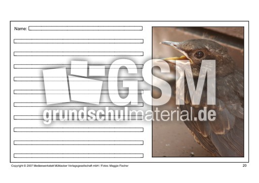 Amsel-eigene-Texte-20.pdf